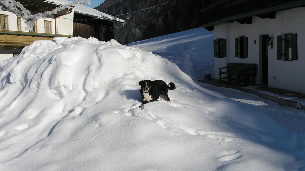 Arco im Schnee1 Arco im Schnee1